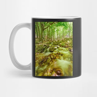 River flowing through rocks Mug